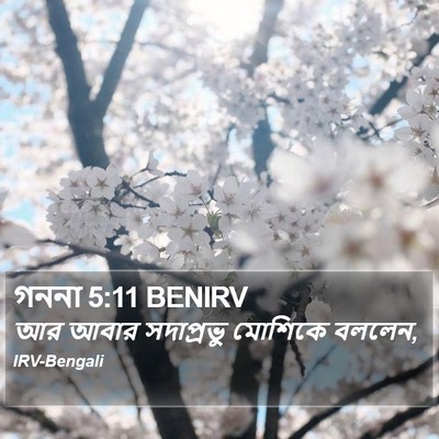 গননা 5:11 BENIRV Bible Verse Image