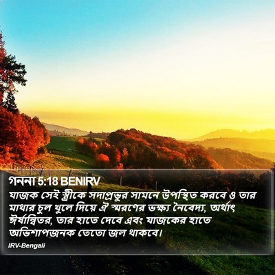 গননা 5:18 BENIRV Bible Verse Image