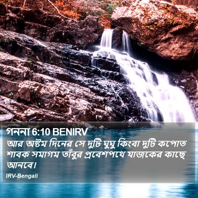 গননা 6:10 BENIRV Bible Verse Image