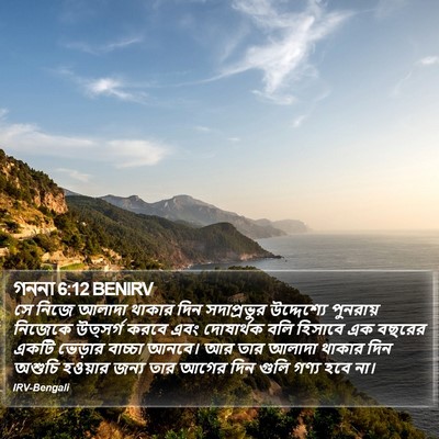 গননা 6:12 BENIRV Bible Verse Image