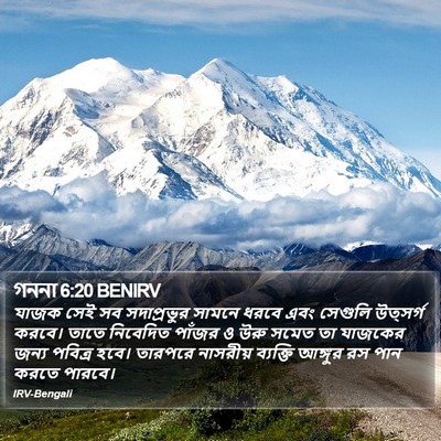 গননা 6:20 BENIRV Bible Verse Image