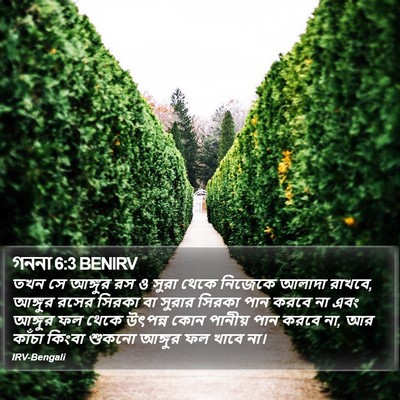 গননা 6:3 BENIRV Bible Verse Image