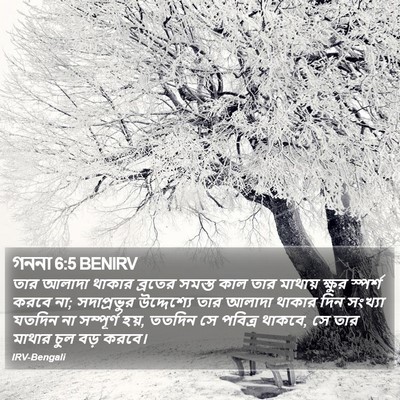 গননা 6:5 BENIRV Bible Verse Image