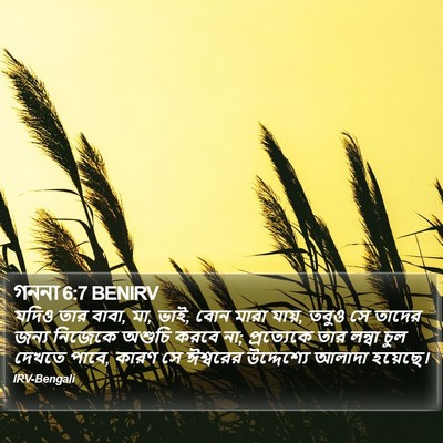 গননা 6:7 BENIRV Bible Verse Image