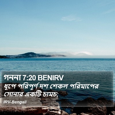 গননা 7:20 BENIRV Bible Verse Image