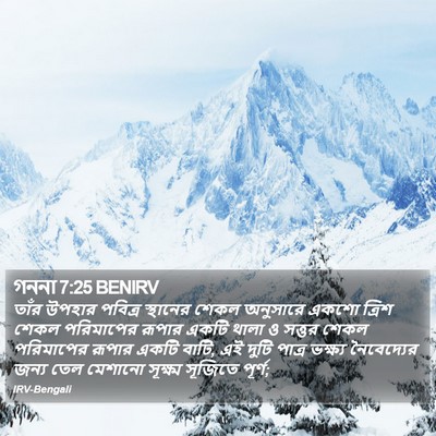 গননা 7:25 BENIRV Bible Verse Image