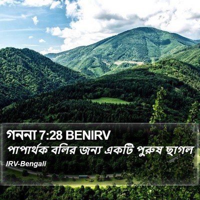 গননা 7:28 BENIRV Bible Verse Image