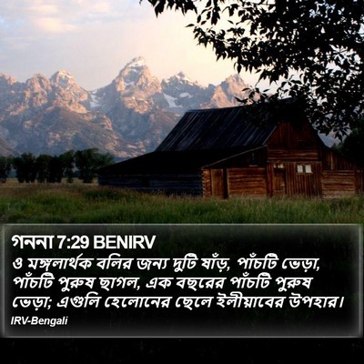 গননা 7:29 BENIRV Bible Verse Image
