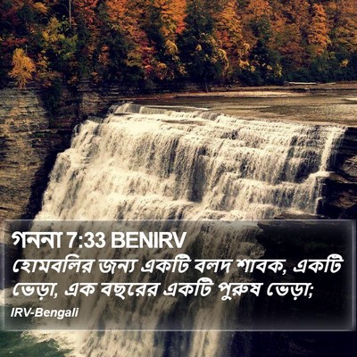 গননা 7:33 BENIRV Bible Verse Image