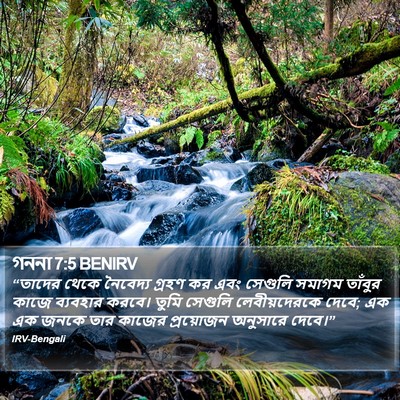 গননা 7:5 BENIRV Bible Verse Image
