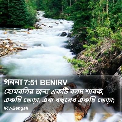 গননা 7:51 BENIRV Bible Verse Image
