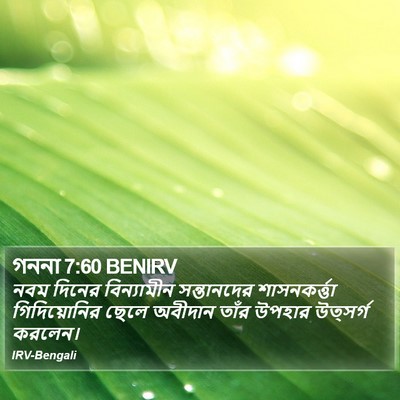 গননা 7:60 BENIRV Bible Verse Image