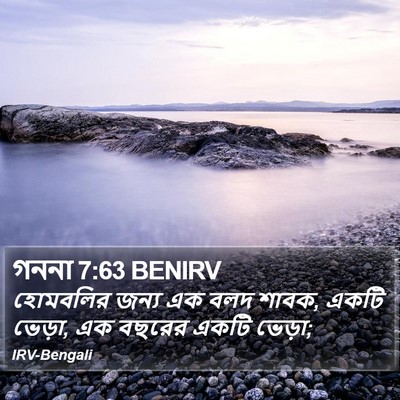 গননা 7:63 BENIRV Bible Verse Image