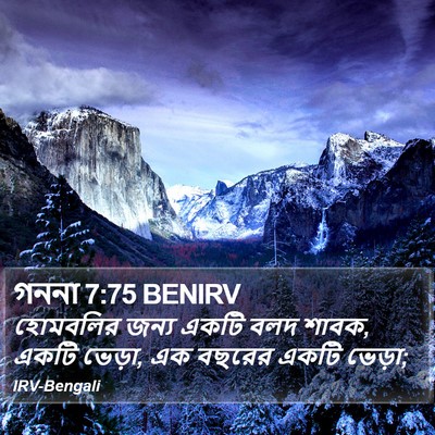 গননা 7:75 BENIRV Bible Verse Image