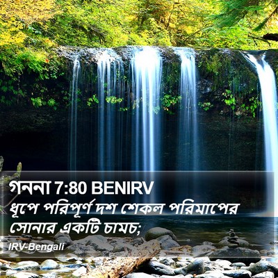 গননা 7:80 BENIRV Bible Verse Image