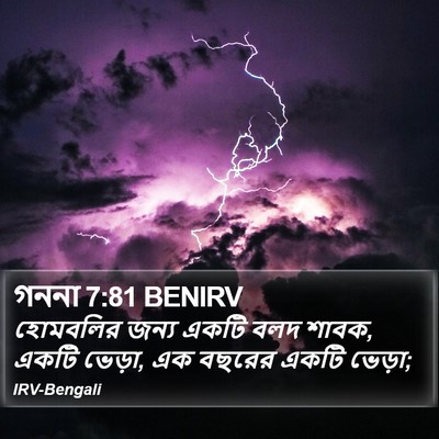 গননা 7:81 BENIRV Bible Verse Image