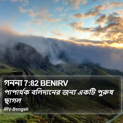 গননা 7:82 BENIRV Bible Verse Image