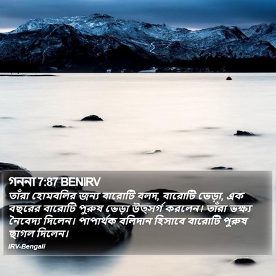 গননা 7:87 BENIRV Bible Verse Image