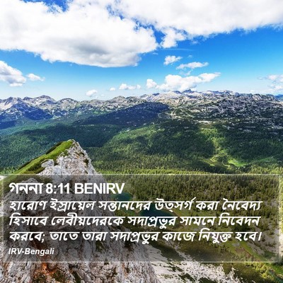 গননা 8:11 BENIRV Bible Verse Image