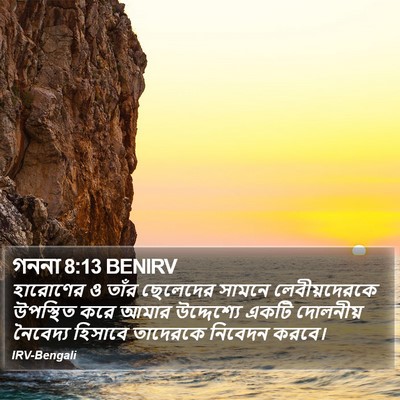 গননা 8:13 BENIRV Bible Verse Image