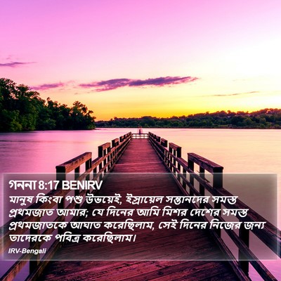 গননা 8:17 BENIRV Bible Verse Image
