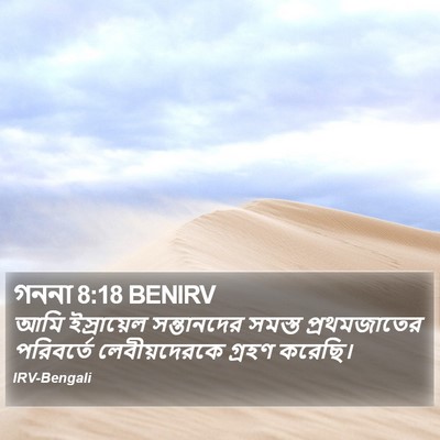 গননা 8:18 BENIRV Bible Verse Image