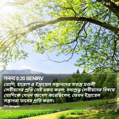 গননা 8:20 BENIRV Bible Verse Image