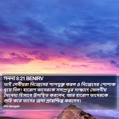 গননা 8:21 BENIRV Bible Verse Image