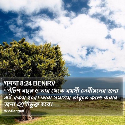 গননা 8:24 BENIRV Bible Verse Image
