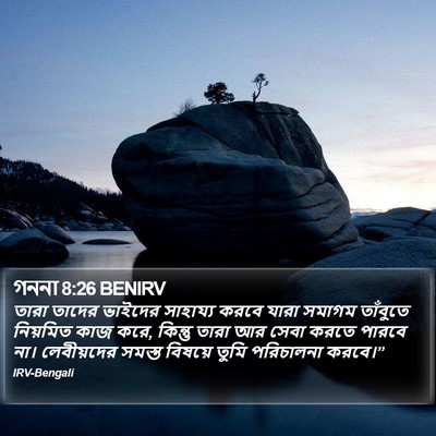গননা 8:26 BENIRV Bible Verse Image