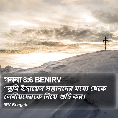 গননা 8:6 BENIRV Bible Verse Image