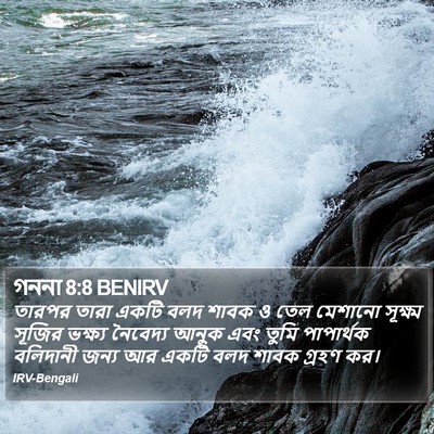 গননা 8:8 BENIRV Bible Verse Image