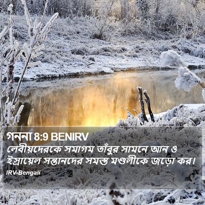 গননা 8:9 BENIRV Bible Verse Image