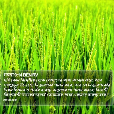 গননা 9:14 BENIRV Bible Verse Image