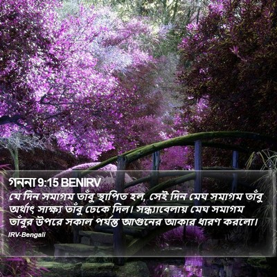 গননা 9:15 BENIRV Bible Verse Image
