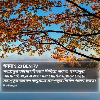 গননা 9:23 BENIRV Bible Verse Image
