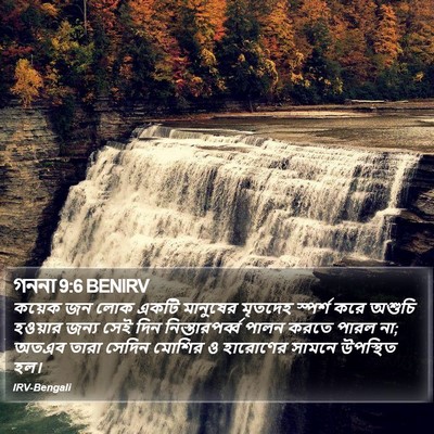 গননা 9:6 BENIRV Bible Verse Image