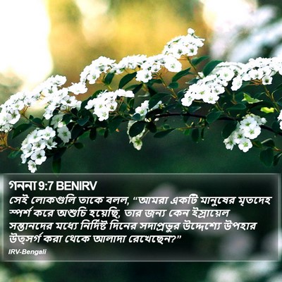 গননা 9:7 BENIRV Bible Verse Image