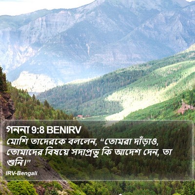 গননা 9:8 BENIRV Bible Verse Image
