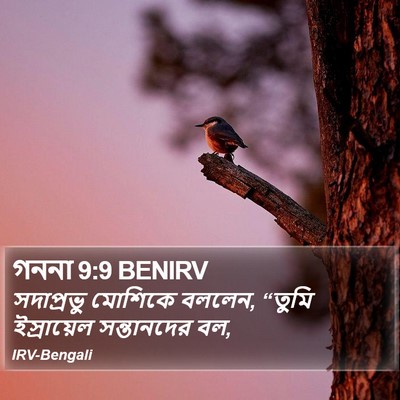 গননা 9:9 BENIRV Bible Verse Image