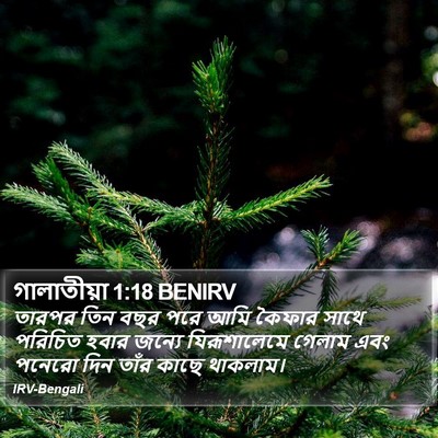 গালাতীয়া 1:18 BENIRV Bible Verse Image