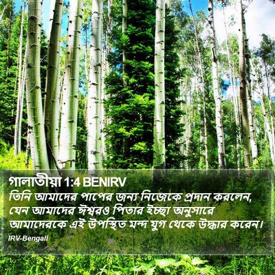 গালাতীয়া 1:4 BENIRV Bible Verse Image