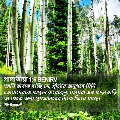 গালাতীয়া 1:6 BENIRV Bible Verse Image