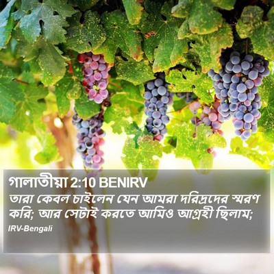 গালাতীয়া 2:10 BENIRV Bible Verse Image