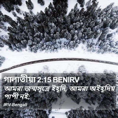গালাতীয়া 2:15 BENIRV Bible Verse Image