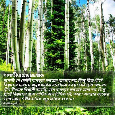 গালাতীয়া 2:16 BENIRV Bible Verse Image