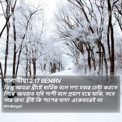 গালাতীয়া 2:17 BENIRV Bible Verse Image