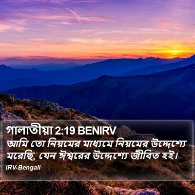 গালাতীয়া 2:19 BENIRV Bible Verse Image
