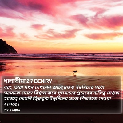 গালাতীয়া 2:7 BENIRV Bible Verse Image