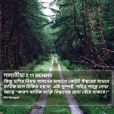 গালাতীয়া 3:11 BENIRV Bible Verse Image